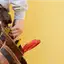 Handyman repair service in Overland Park, KS for home fixes and improvements